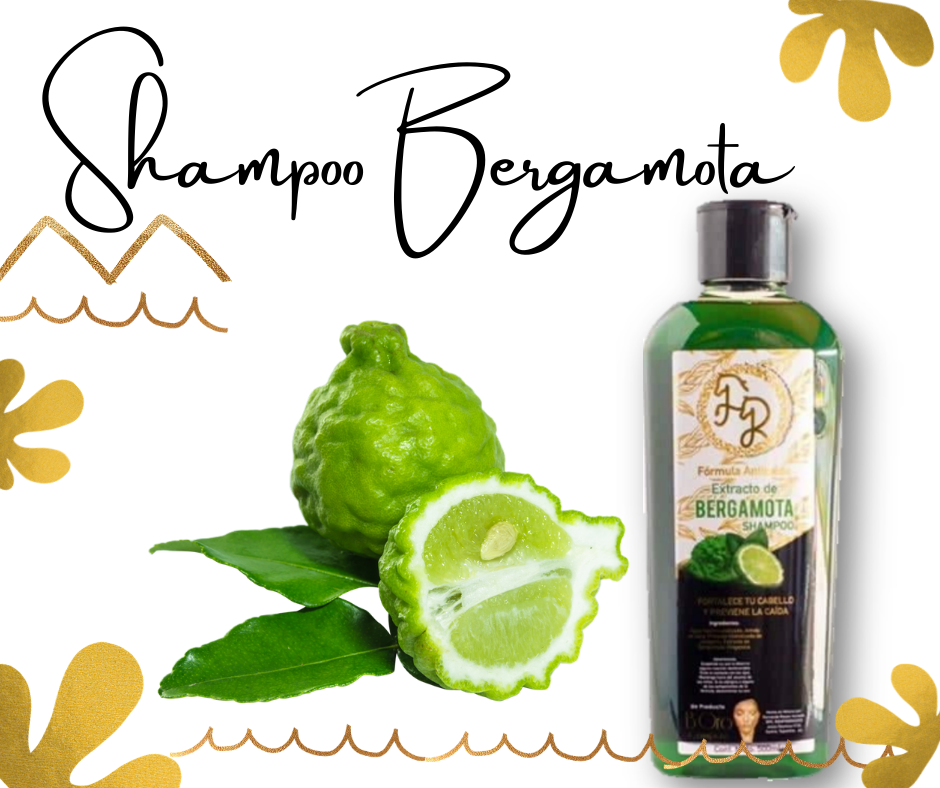 Shampoo de Bergamota contra caída de cabello