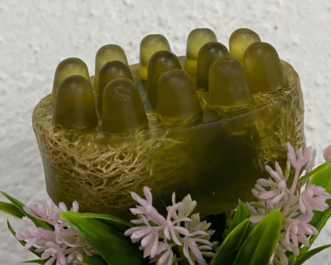 Jabon de Aloe Vera con Lufa